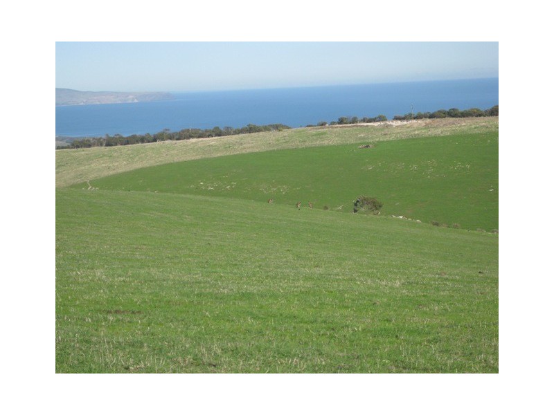 Lot 11 Forktree Road, Carrickalinga SA 5204