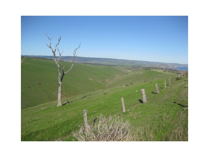 Lot 11 Forktree Road, Carrickalinga SA 5204