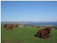 Lot 11 Forktree Road, Carrickalinga SA 5204