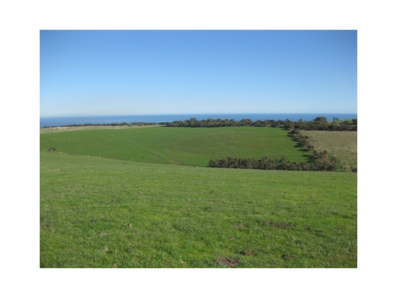 Lot 11 Forktree Road, Carrickalinga SA 5204