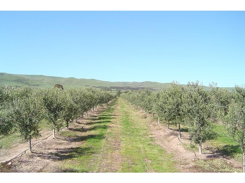 Lot 354 Rogers Road,Sellicks Hill, Sellicks Hill SA 5174