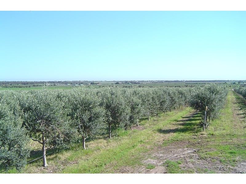 Lot 354 Rogers Road,Sellicks Hill, Sellicks Hill SA 5174