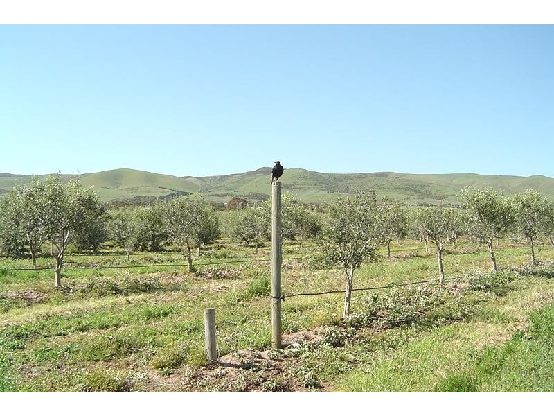 Lot 354 Rogers Road,Sellicks Hill, Sellicks Hill SA 5174