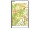 Lot 362 Light Pass Rd, Light Pass SA 5355