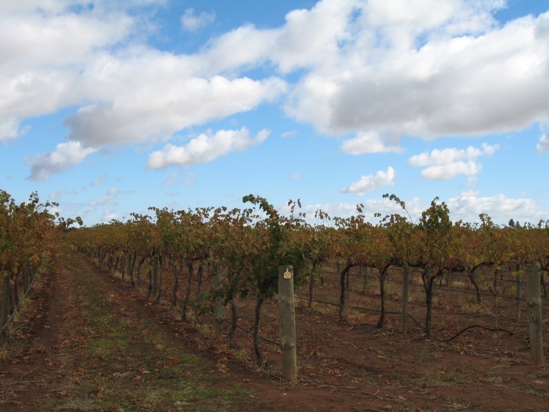 Lt 352/353 Light Pass Road, Light Pass SA 5355