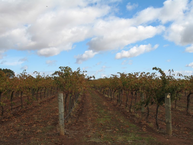 Lt 352/353 Light Pass Road, Light Pass SA 5355