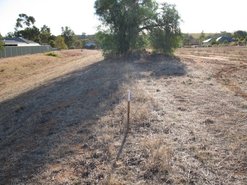 Lt 352/353 Light Pass Road, Light Pass SA 5355