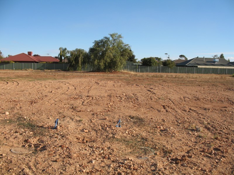 Lt 352/353 Light Pass Road, Light Pass SA 5355