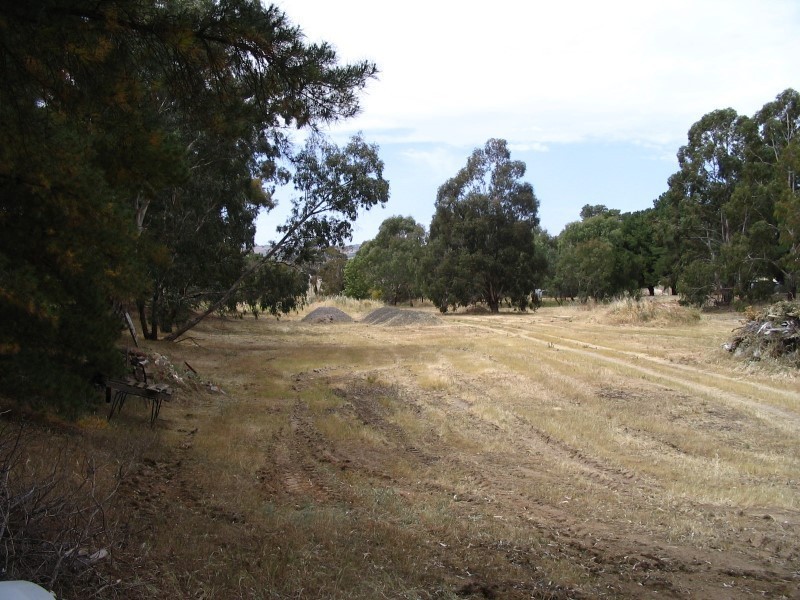 Lot 2 Samuel Road, Nuriootpa SA 5355
