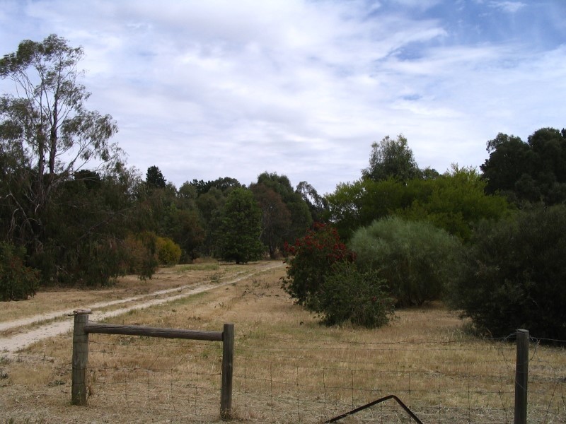 Lot 2 Samuel Road, Nuriootpa SA 5355