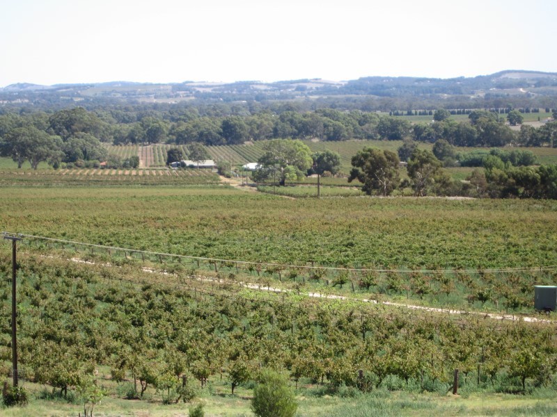 Lot 3 Kalimna & Wechters Road, Light Pass SA 5355