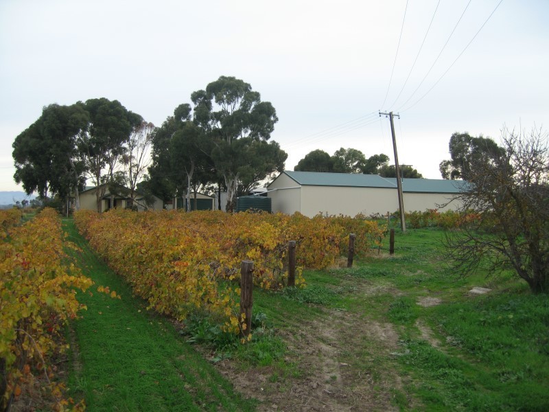 Lot 96 Moppa Road, Nuriootpa SA 5355