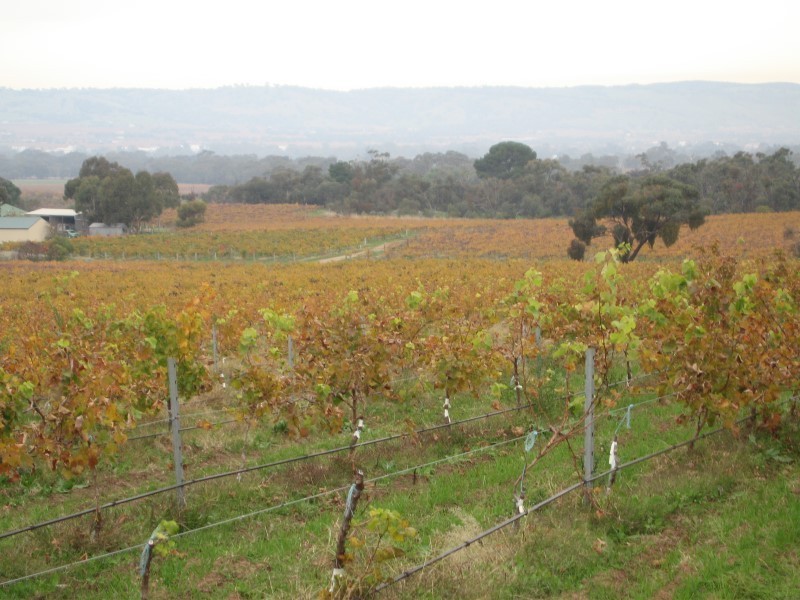 Lot 96 Moppa Road, Nuriootpa SA 5355