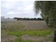 Lot 502 Moppa Road South, Nuriootpa SA 5355