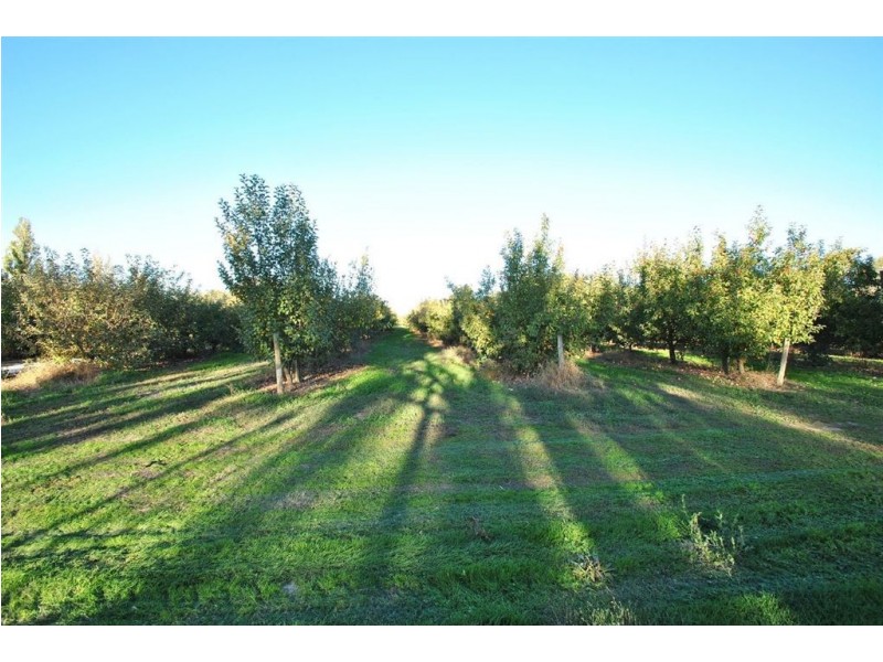 Lot 344 Research Road, Nuriootpa SA 5355