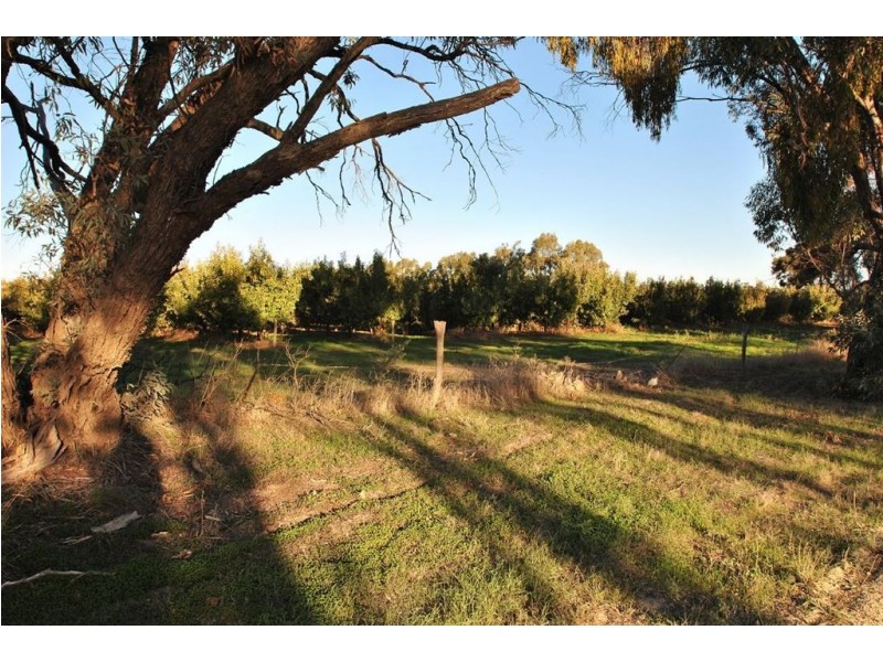 Lot 344 Research Road, Nuriootpa SA 5355