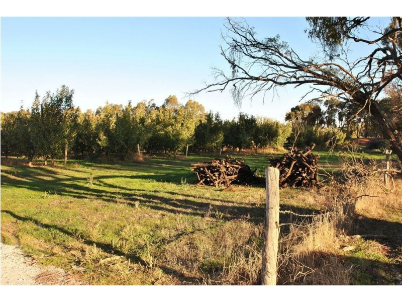 Lot 344 Research Road, Nuriootpa SA 5355