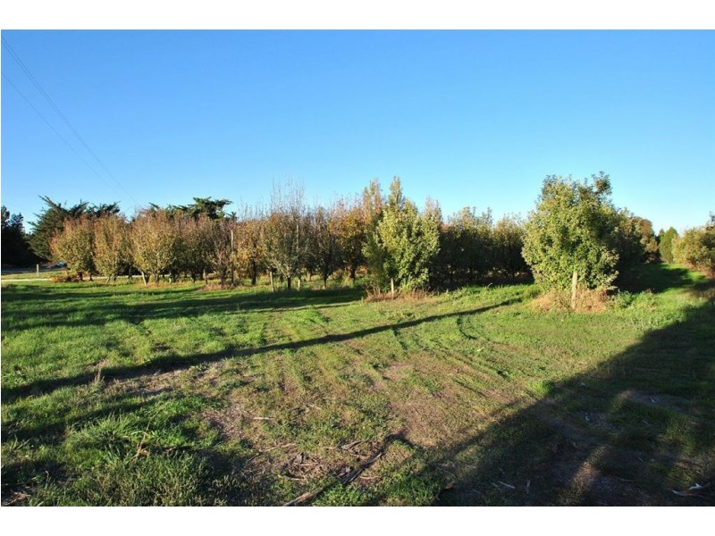 Lot 344 Research Road, Nuriootpa SA 5355