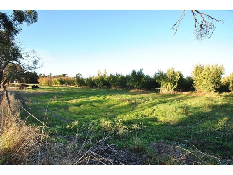 Lot 344 Research Road, Nuriootpa SA 5355