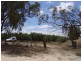 Lot 344 Research Road, Nuriootpa SA 5355