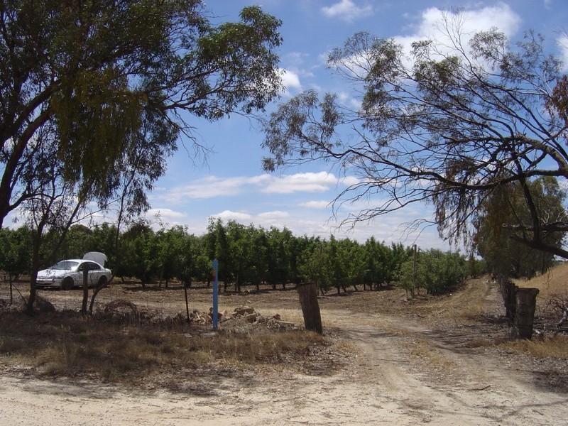 Lot 344 Research Road, Nuriootpa SA 5355