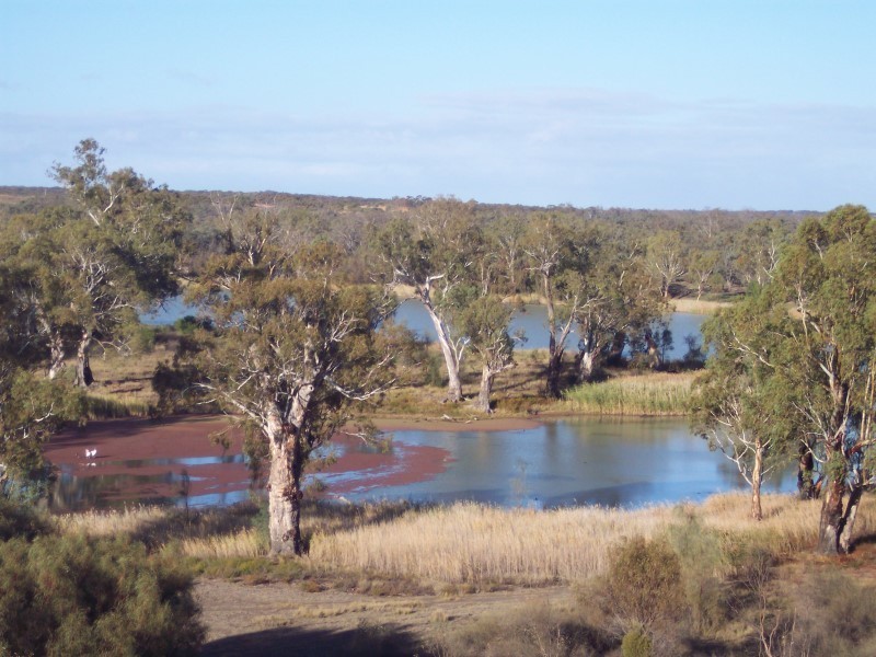 Allot 13 And Pieces 11 & 12, Morgan SA 5320