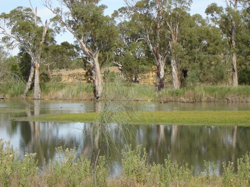 Allot 13 And Pieces 11 & 12, Morgan SA 5320