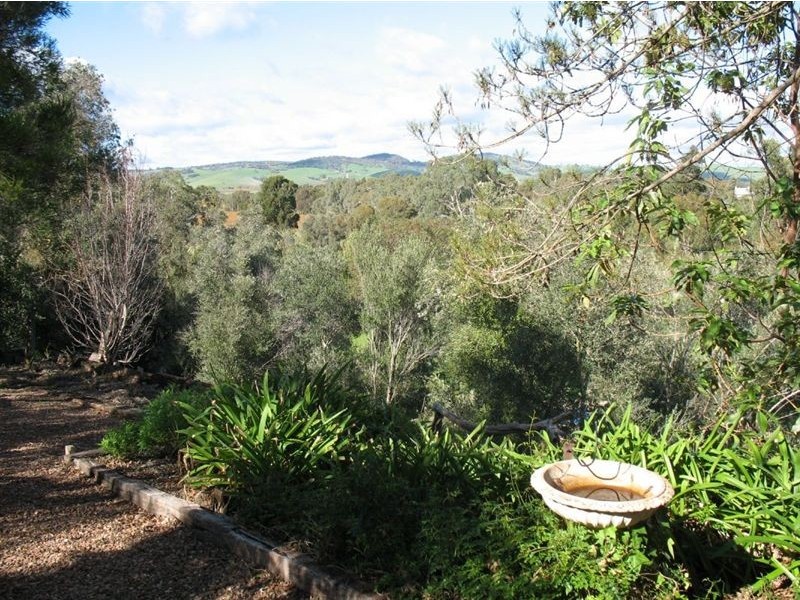 1c Murray Street, Tanunda SA 5352