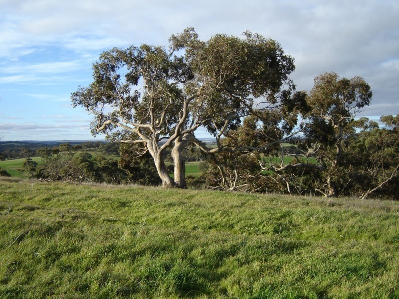 Allot 1 Peltz Road, Kapunda SA 5373