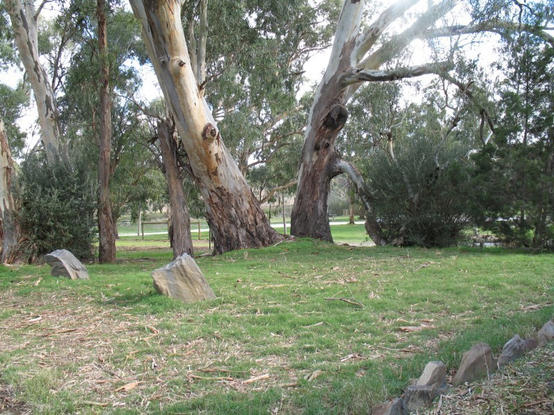 2a Murray Street, Tanunda SA 5352