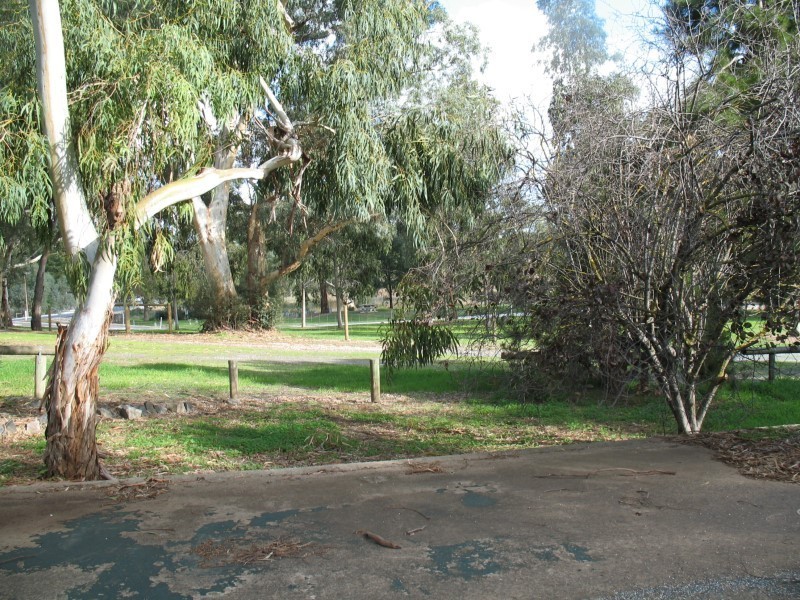 2a Murray Street, Tanunda SA 5352