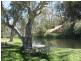 50 Langmeil Road, Tanunda SA 5352