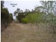 Lot 205 Altmann Street, Moculta SA 5353