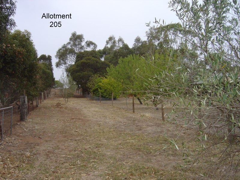 Lot 205 Altmann Street, Moculta SA 5353