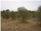 Lot 205 Altmann Street, Moculta SA 5353