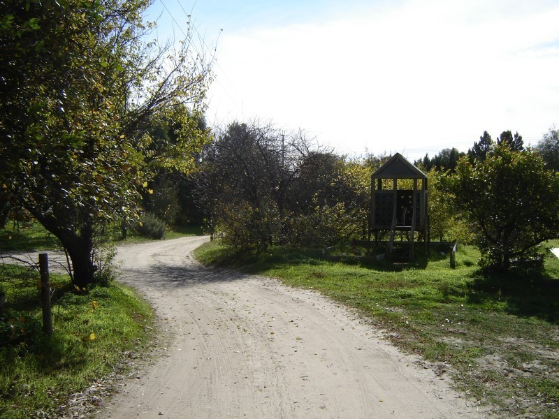 29-37 Tolley Road, Nuriootpa SA 5355