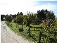 29-37 Tolley Road, Nuriootpa SA 5355