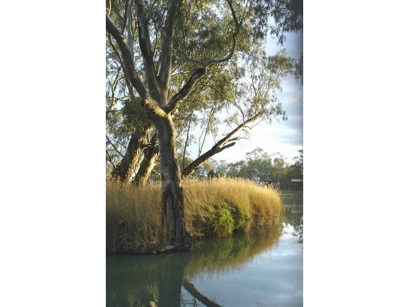 L 102 Murbko Road, Morgan SA 5320