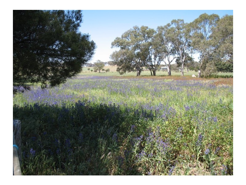 L32 & 33 Sedan Road, Keyneton SA 5353