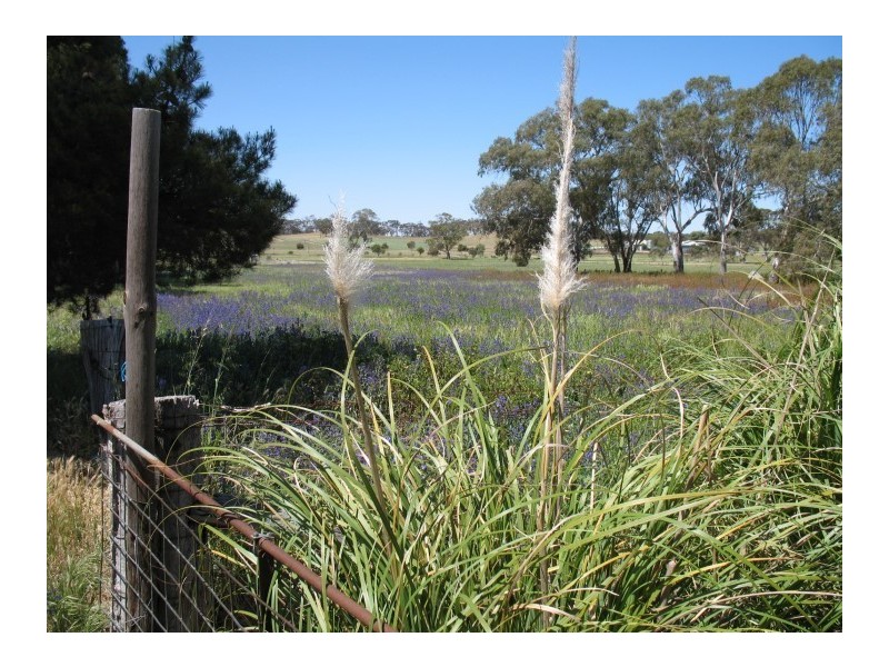 L32 & 33 Sedan Road, Keyneton SA 5353