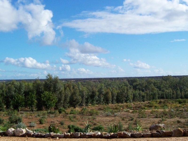 Lot 1 Murbko Road, Morgan SA 5320