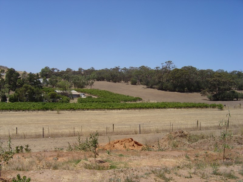 16-18 Salem Road, Angaston SA 5353