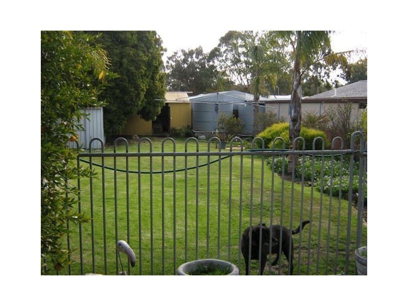 34-36 Homburg Street, Tanunda SA 5352