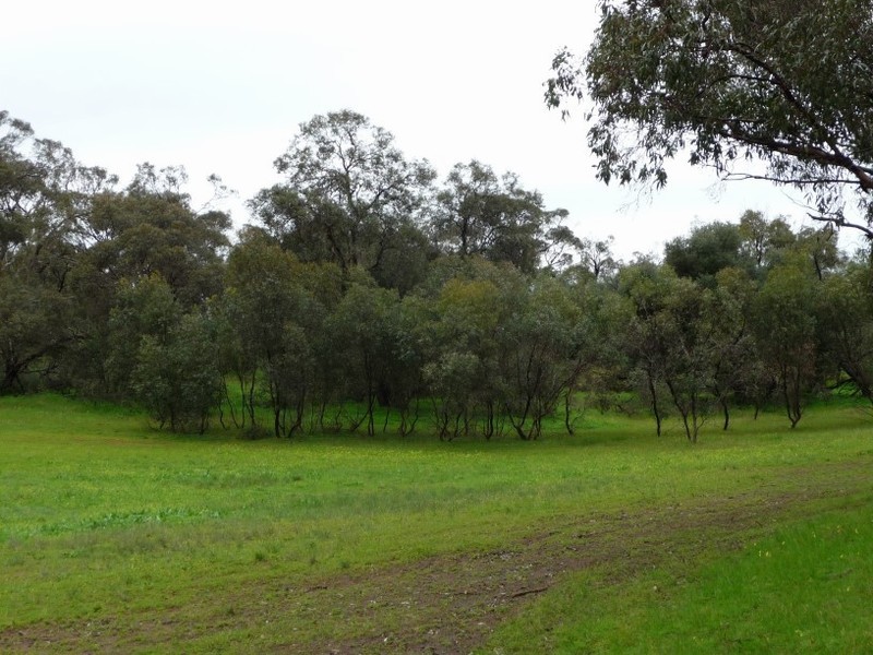 Lot 111 Mattschoss Road, Daveyston SA 5355