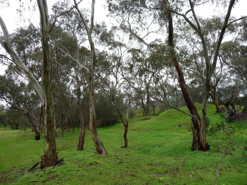 Lot 111 Mattschoss Road, Daveyston SA 5355