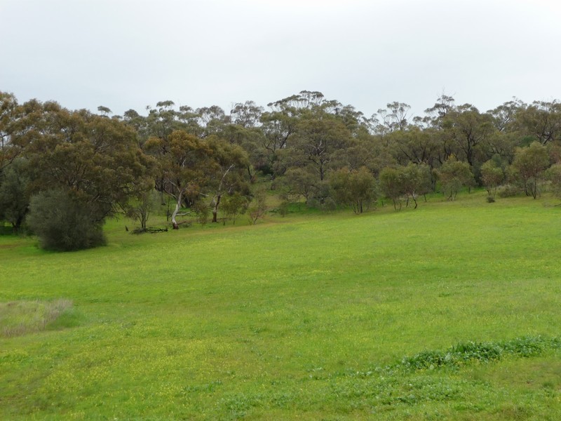 Lot 111 Mattschoss Road, Daveyston SA 5355