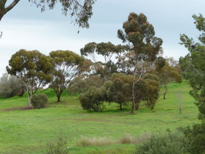 Lot 111 Mattschoss Road, Daveyston SA 5355