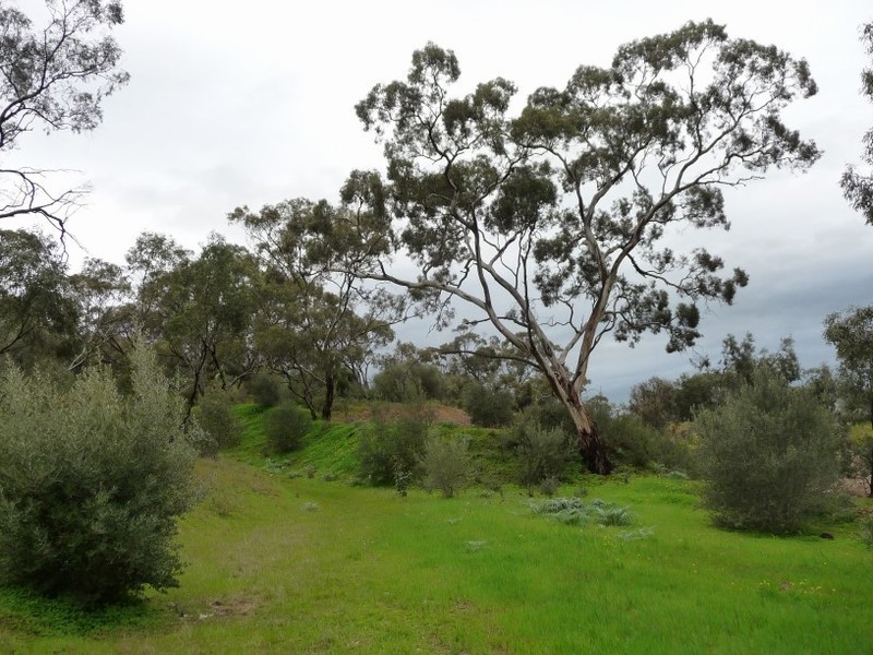 Lot 111 Mattschoss Road, Daveyston SA 5355