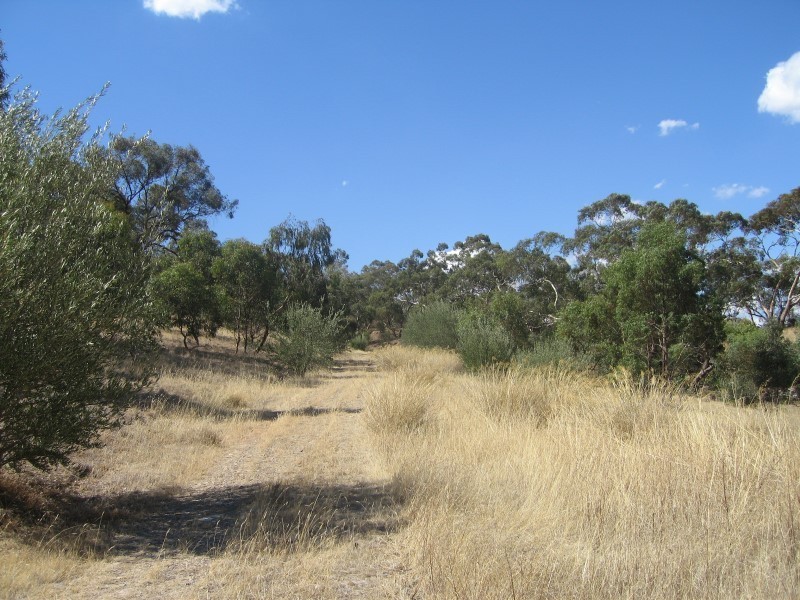 Lot 112 Mattschoss Road, Daveyston SA 5355