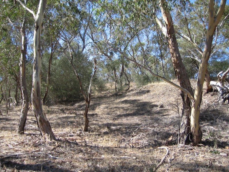 Lot 112 Mattschoss Road, Daveyston SA 5355